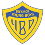 Young Boys badge